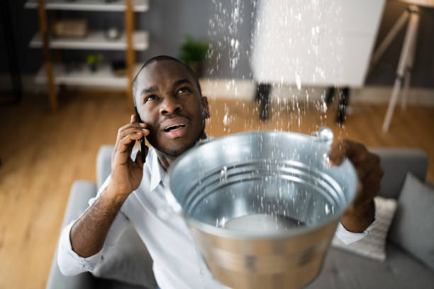 Best Commercial water damage restoration  in Johnsburg, IL