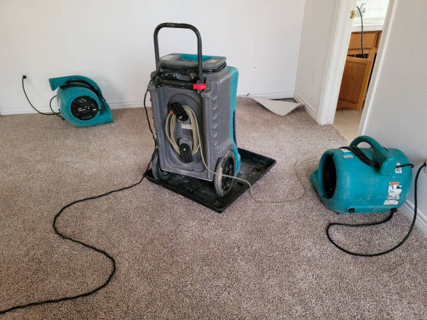 Best Water damage restoration insurance claims  in Johnsburg, IL
