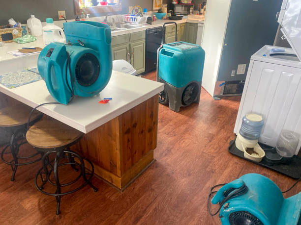 Best Fire Damage Restoration  in Johnsburg, IL
