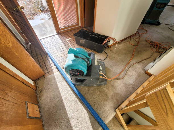 Best Local water damage restoration  in Johnsburg, IL
