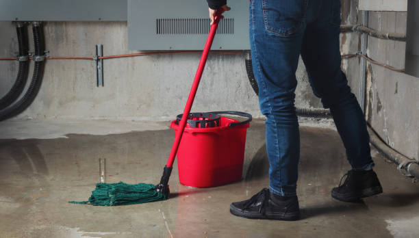 Best Flood damage cleanup  in Johnsburg, IL