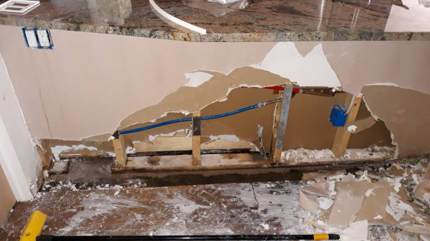 Best Sewage cleanup and water damage restoration  in Johnsburg, IL