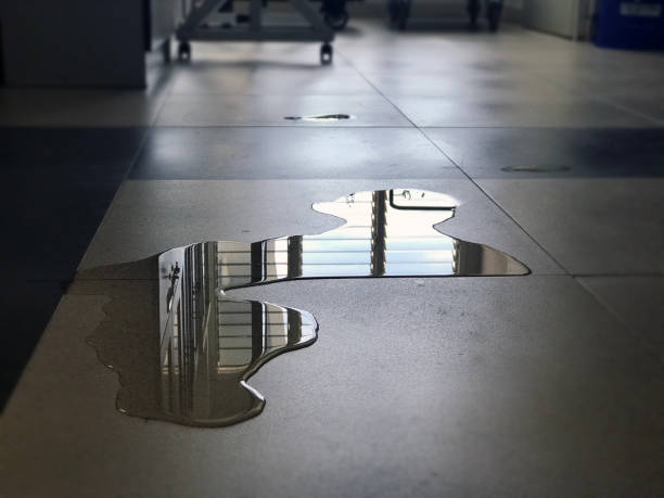 Best Water damage restoration near me  in Johnsburg, IL