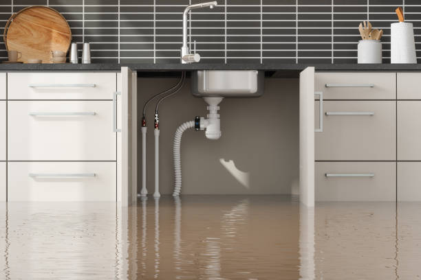 Best 24/7 water damage repair  in Johnsburg, IL