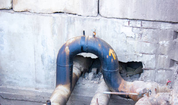 Best Flood damage cleanup  in Johnsburg, IL