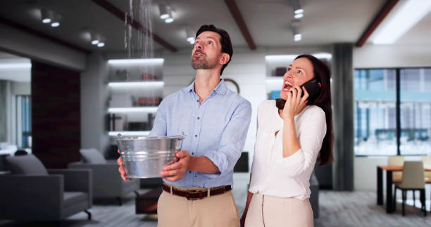 Best Water damage restoration experts  in Johnsburg, IL
