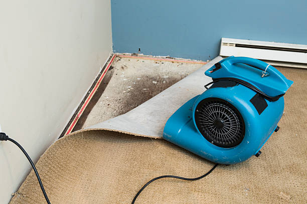 Best Fire Damage Restoration  in Johnsburg, IL